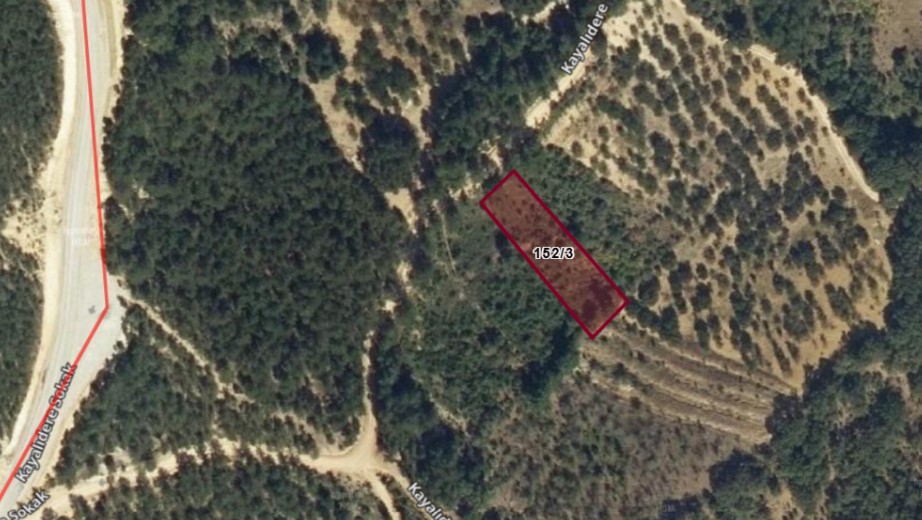 İlan Fotoğrafı